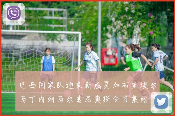 巴西国家队迎来新成员加布里埃尔马丁内利马尔基尼奥斯今日集结